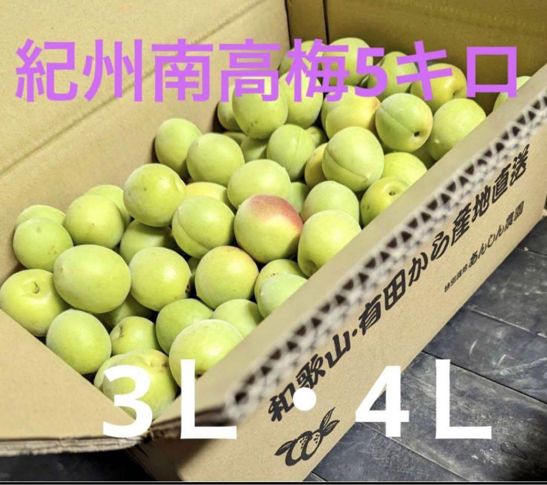 さらに大粒！紀州南高梅5キロ