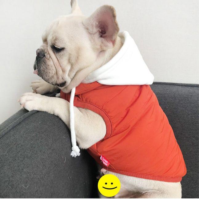 い出のひと時に とびきりのおしゃれを 白犬様専用 ポケモンカードゲーム Cefolklore It