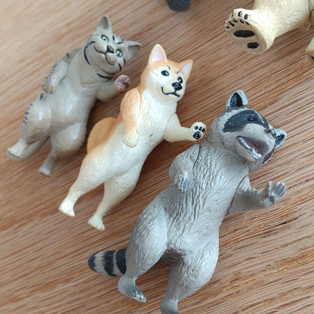 人気スポー新作 ガチャガチャ 壁ドン 5点セット アニマルズ K Don その他