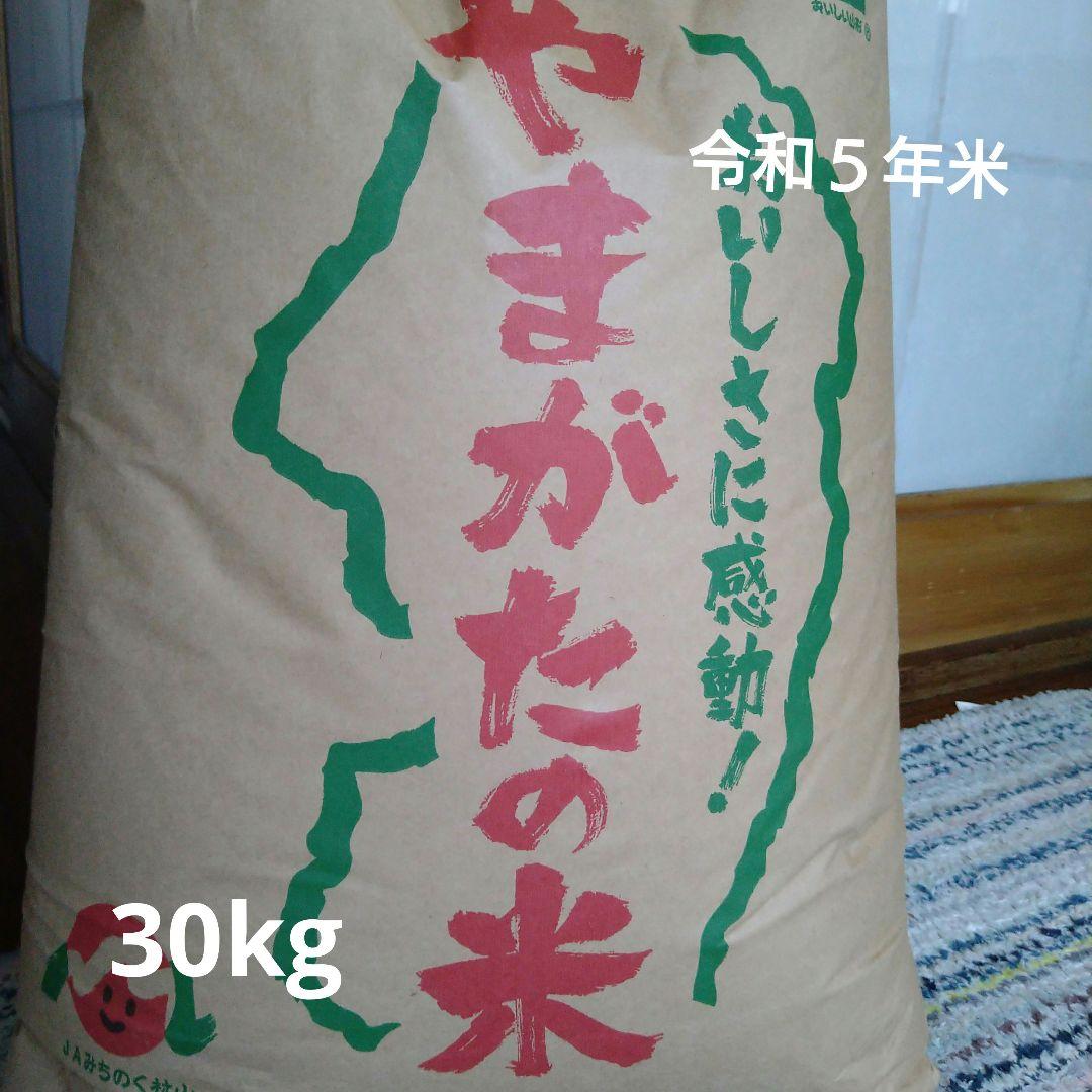 令和5年度産米山形県はえぬき30㎏ - 米・雑穀・粉類割引