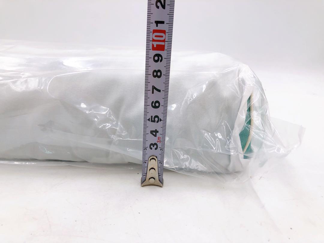 4BM029 【新品未開封】 運動枕 あおたけ