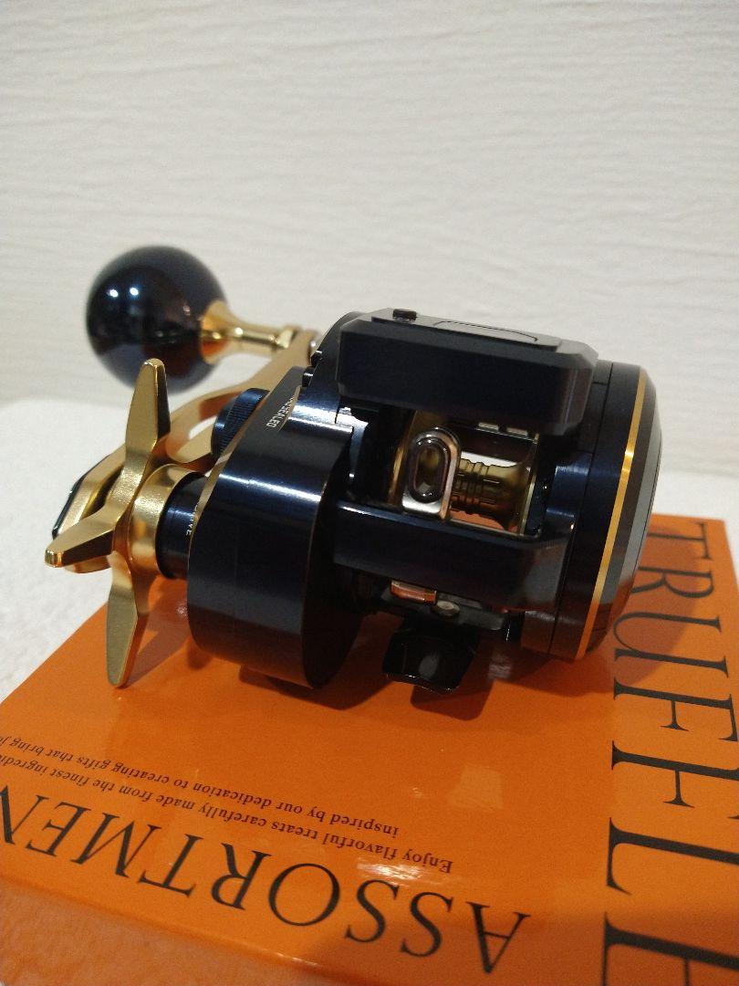 ダイワ（DAIWA）ソルティガ IC 300 美品