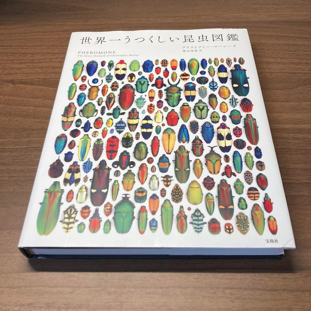 世界一うつくしい昆虫図鑑