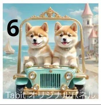 ★オーダーページ★ハンカチ　夏のドライブ　柴犬さん柄6/30