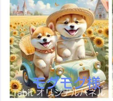 ★オーダーページ★ハンカチ　夏のドライブ　柴犬さん柄6/30