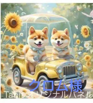 ★オーダーページ★ハンカチ　夏のドライブ　柴犬さん柄6/30