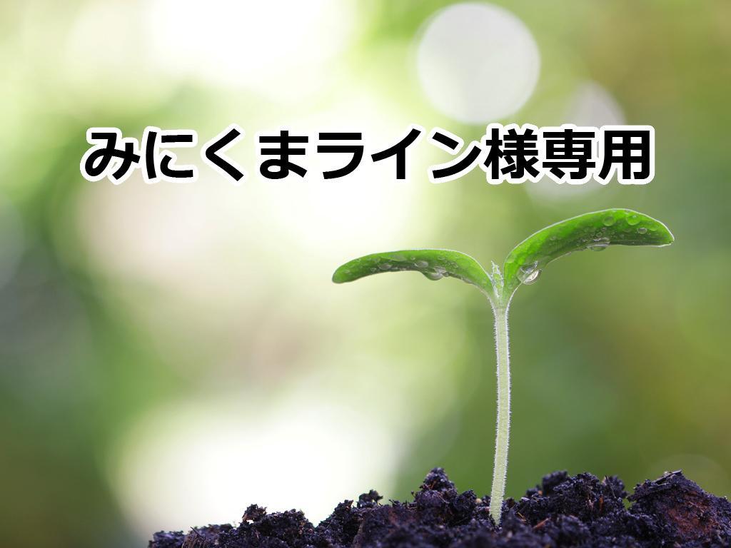 新しい到着 みにくまライン様専用ページです。 ミニカー おもちゃ・ホビー・グッズ¥13,500-www.montevideocollege.edu.uy 新しい到着 みにくまライン様専用ページです。 ミニカー おもちゃ・ホビー・グッズ¥13,500-www.montevideocollege.edu.uy