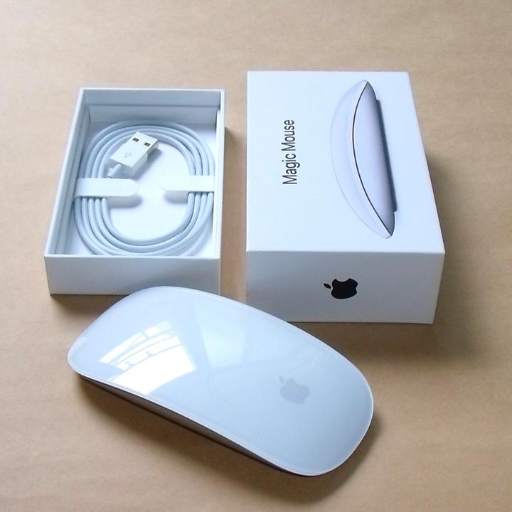 Apple Magic Mouse 2 マジックマウス2 - マウス・トラック
