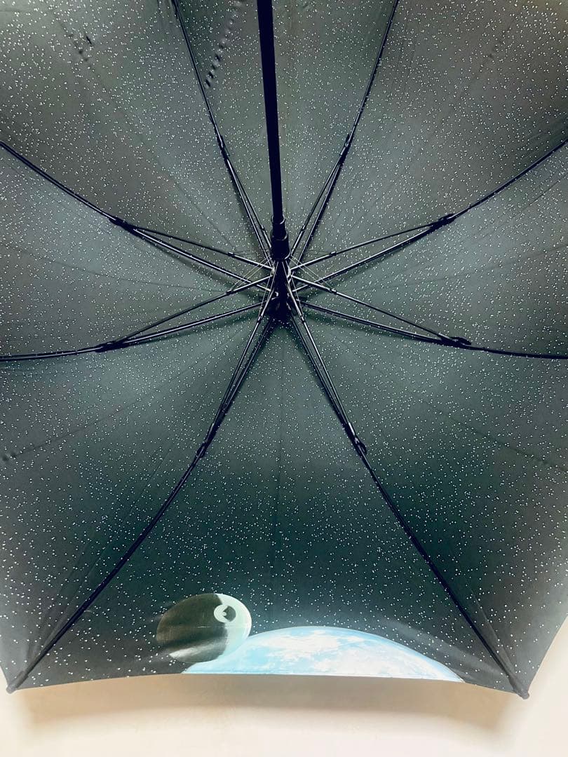 レインセイバー