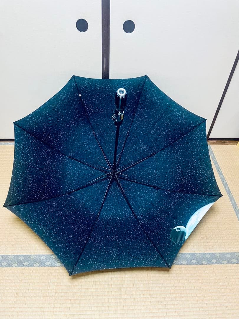 ライトセイバー傘 レインセイバー