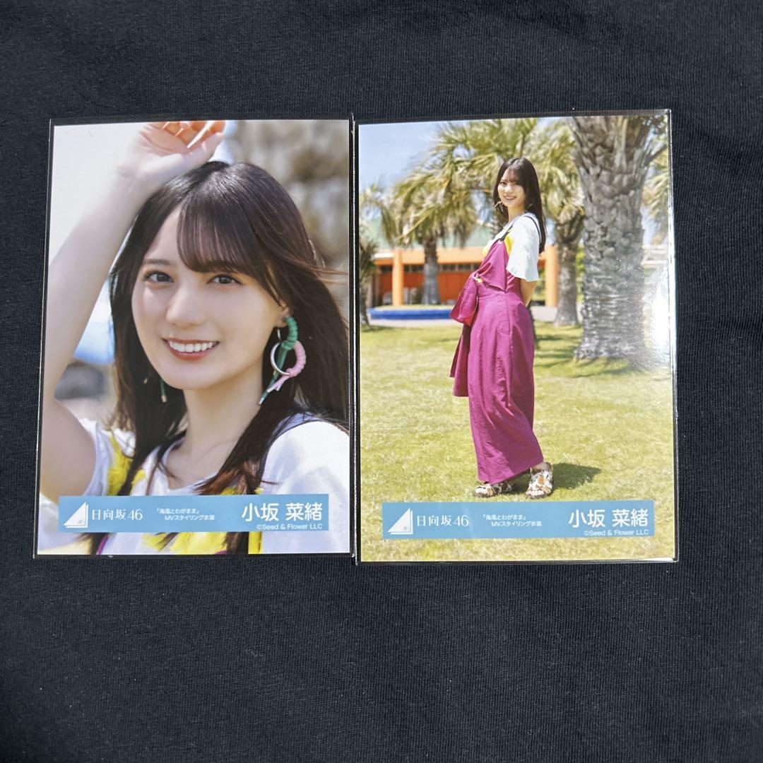 小坂菜緒 20種コンプ Love yourself 海風とわがまま 日向坂46 小坂菜緒生写真 Loveyourself海風とわがままのコンプ