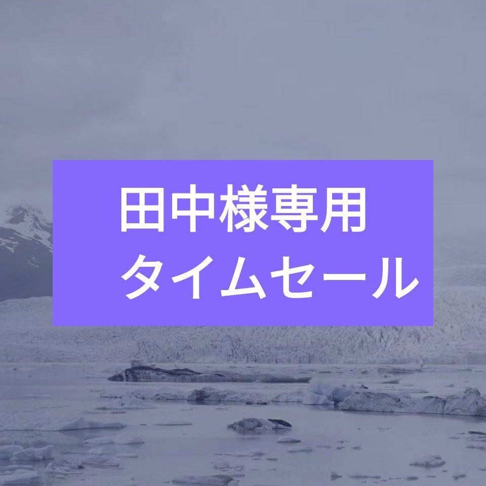 田中様専用　タイムセール