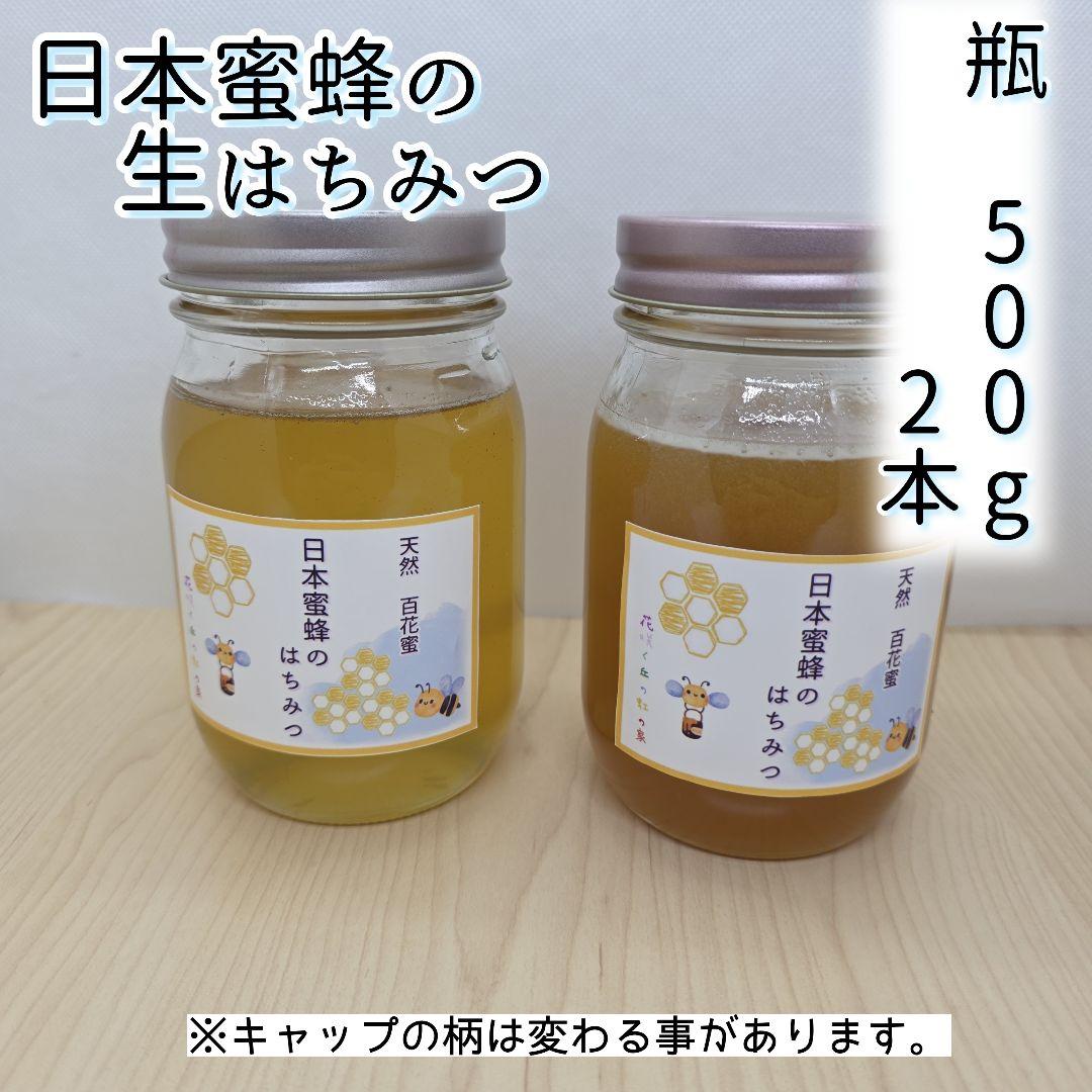 日本蜜蜂　百花蜜　生はちみつ　500g×2本　5月分残りわずか