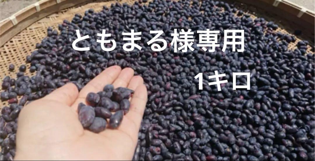 ハスカップ(冷凍果実) 優品1㌔