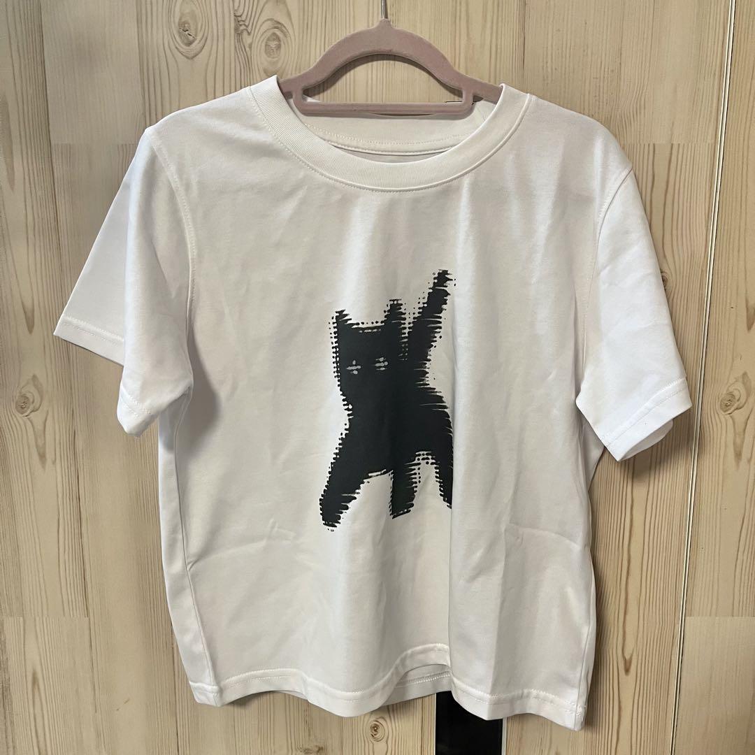 ◆AEAE FLASHED CATS EYE T-SHIRTS◆ AEAE] FLASHED CATS EYE CROP T-SHIRTS [PINK] 正規品 韓国