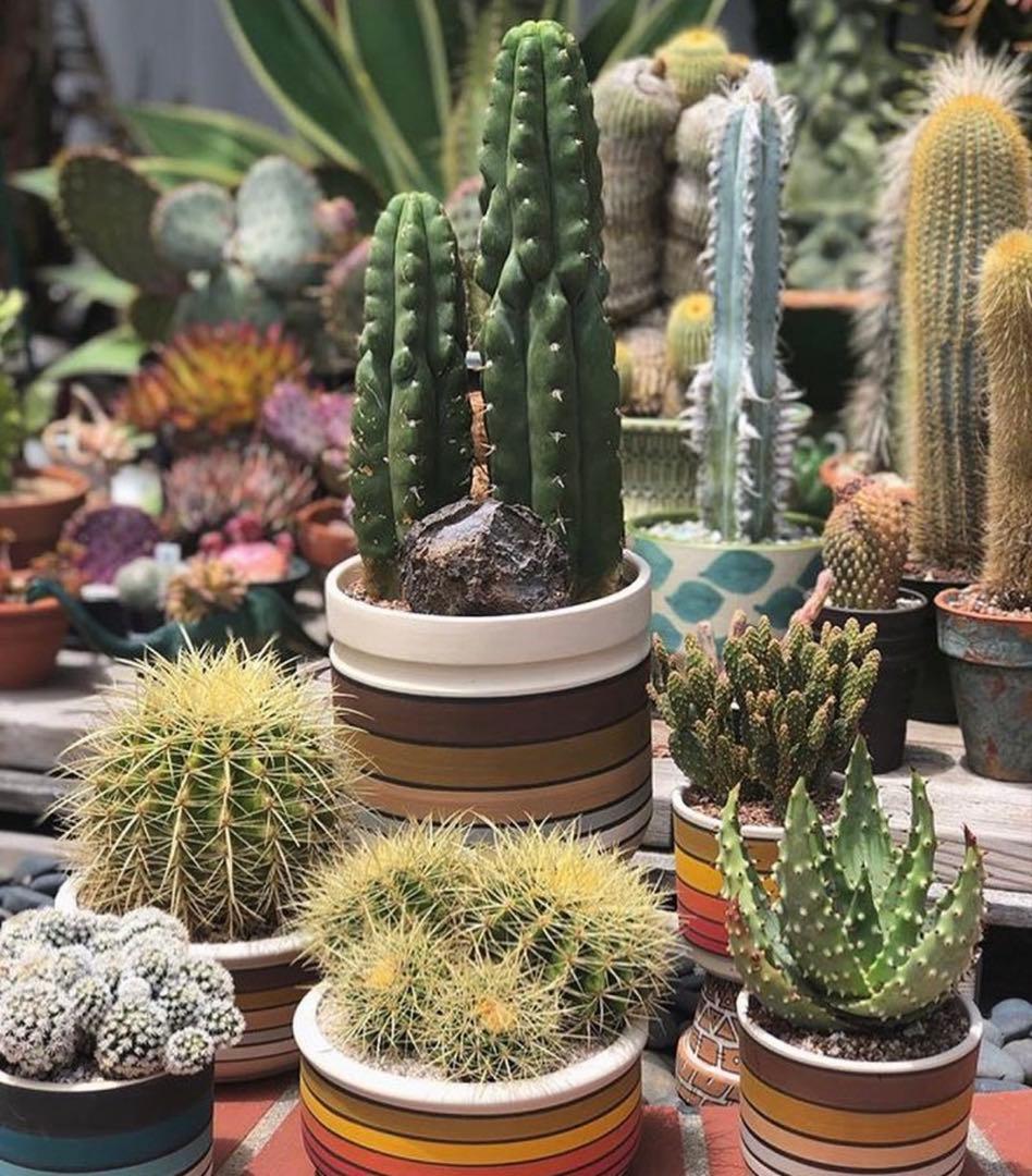 kat-roger 植木鉢 プランター claystreetca WWW_GEBZETESISAT_COM_TR