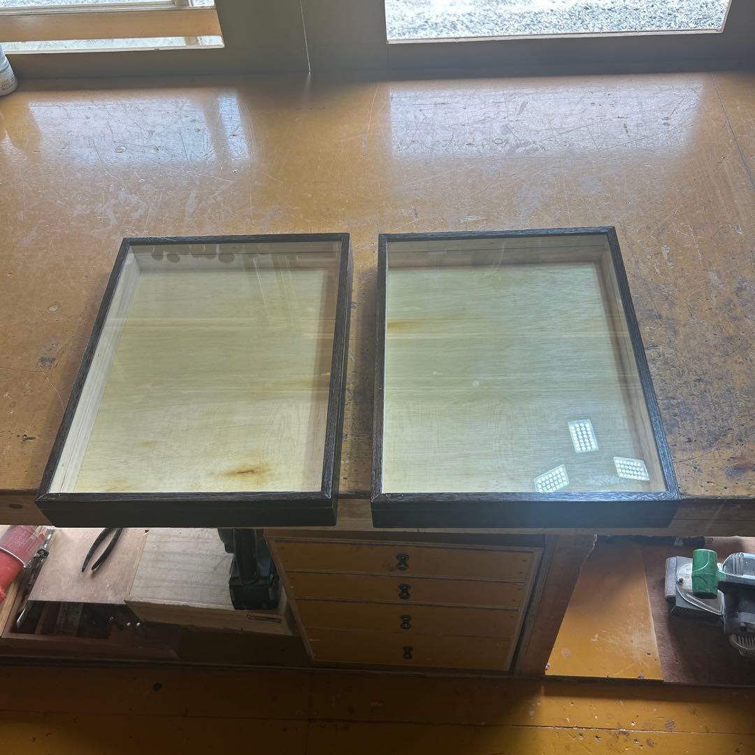 中型厚型標本箱　2箱 標本箱 - うみねこ通販