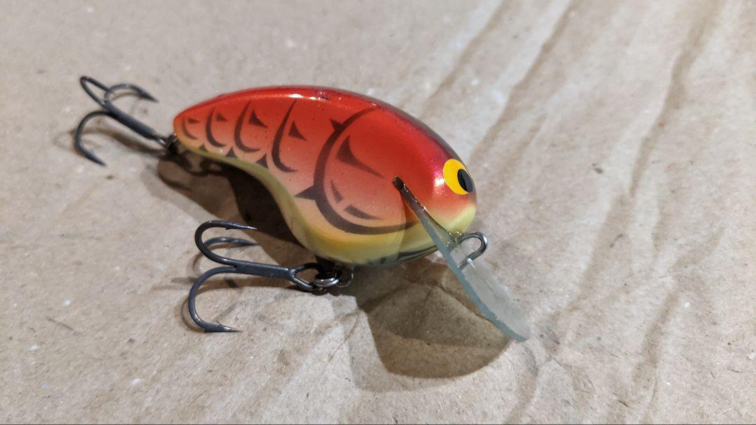 リドルベイツ ヴィヴィアン
