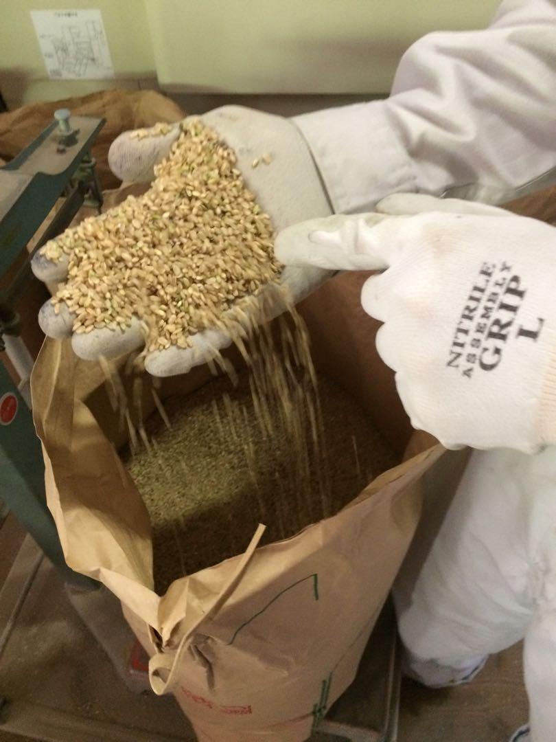 ゆた【送料無料】 令和6年産 新米『ひとめぼれ』10Kg ひとめぼれ 米 10kg 白米 5kg×2袋 岩手県産ひとめぼれ 令和6年産