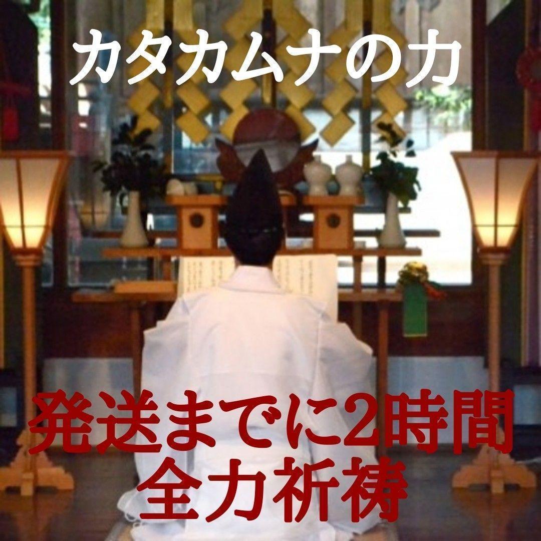 1千万円 金運 風水 御守り サムハラ 天之御中主 財布 蛇 希少 ゴールド