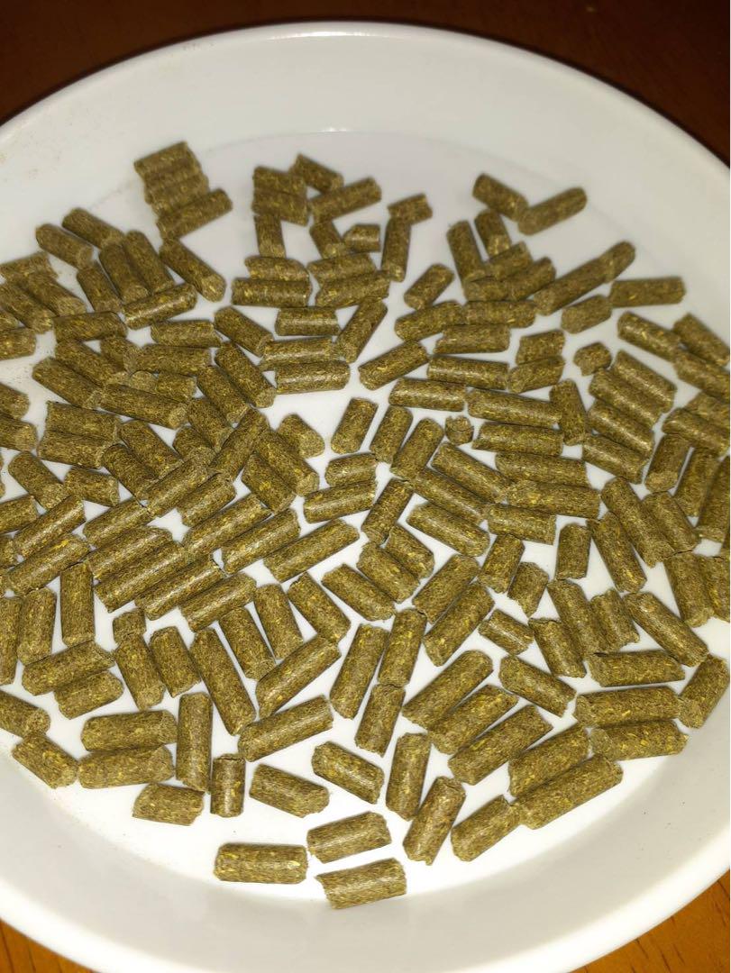 ラビットフードハードタイプ　15kg  （業務用）　うさぎのエサ