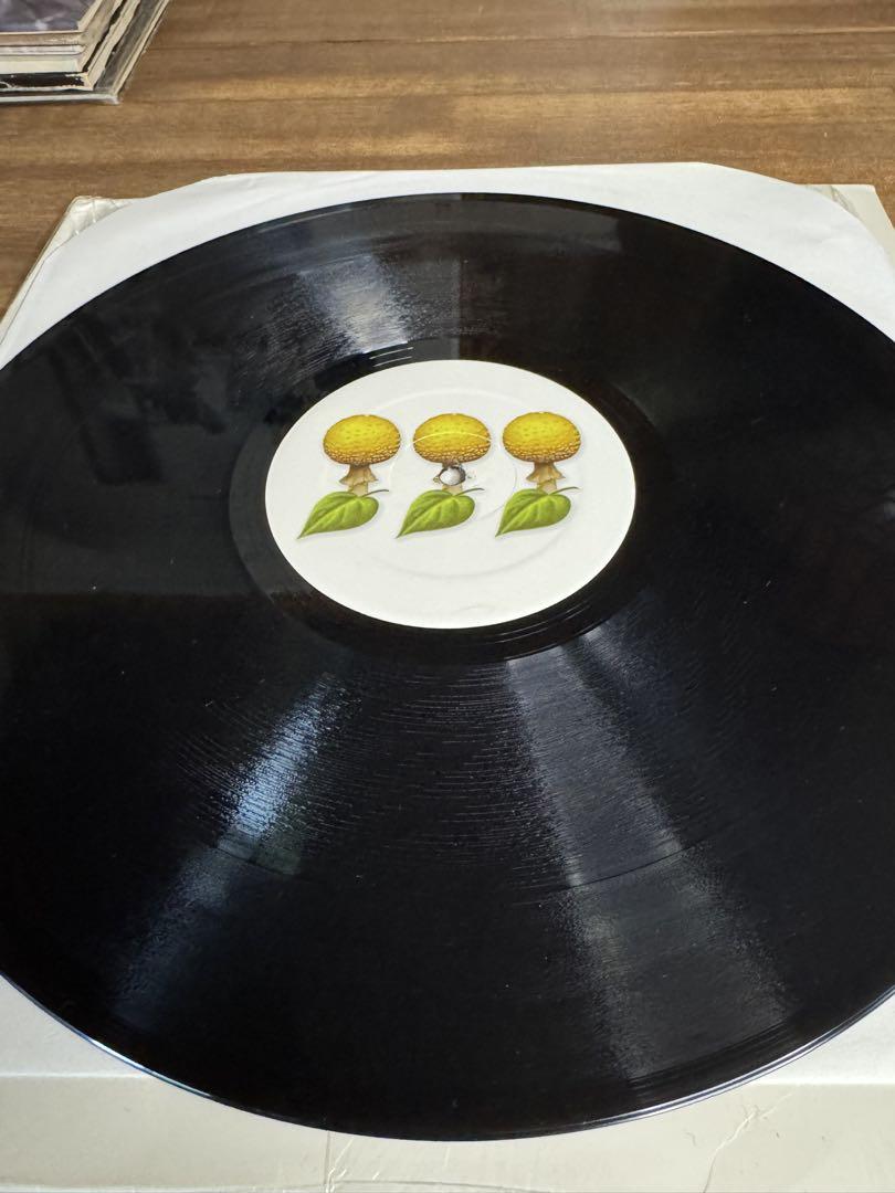 カ*ズ様 DJ MARK FARINA mushroomjazz 4 レコード
