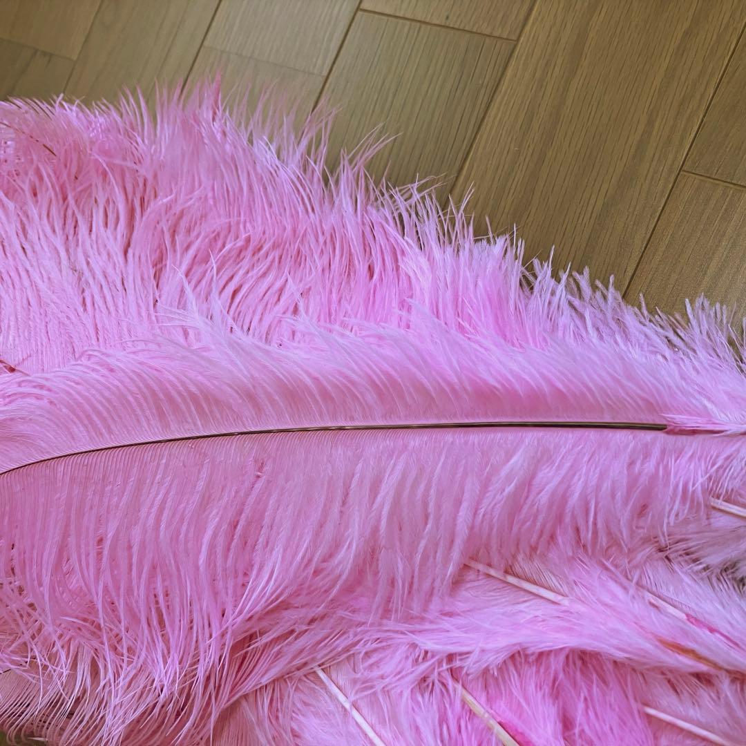 ピンクのオーストリッチ羽根 30本