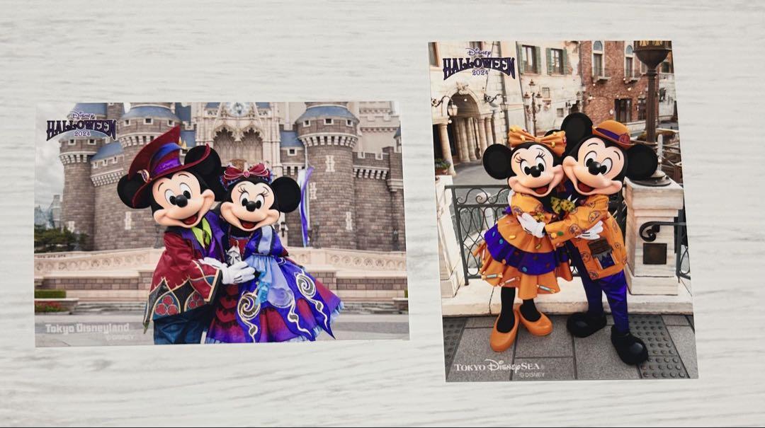 新品ディズニーハロウィン2024 ミッキー　ミニーマウス　２点セット 2種セット】ディズニー ハロウィン 2024 チャーム おばけ