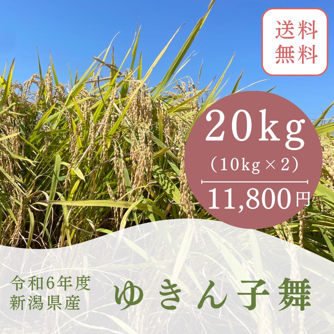 新米】令和6年度産 新潟県産ゆきん子舞 20kg - 米・雑穀・粉類新