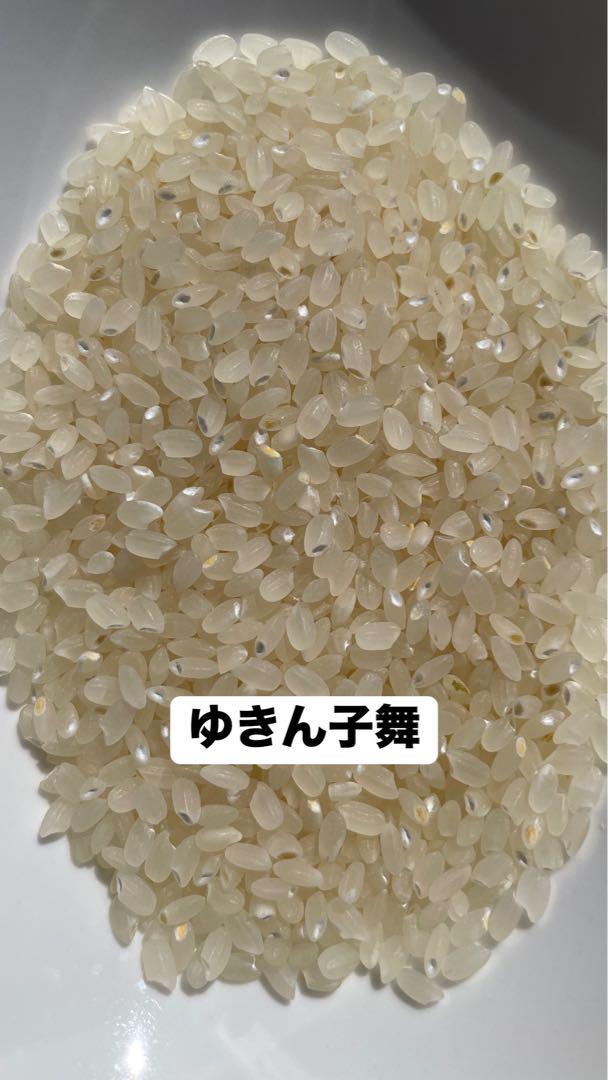 新米】令和6年度産 新潟県産ゆきん子舞 20kg - 米・雑穀・粉類新