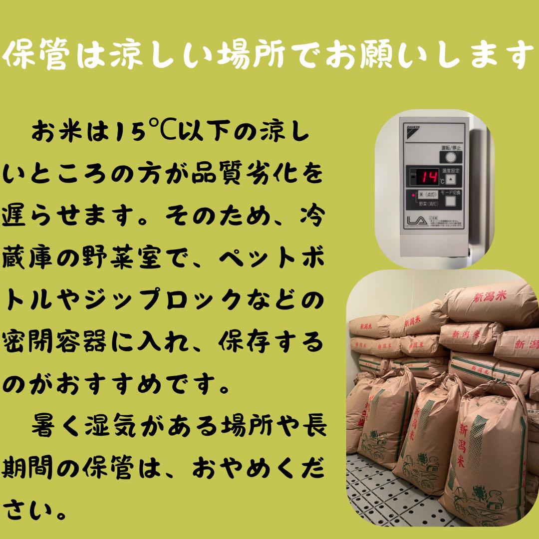 新米】令和6年度産 新潟県産ゆきん子舞 20kg - 米・雑穀・粉類新