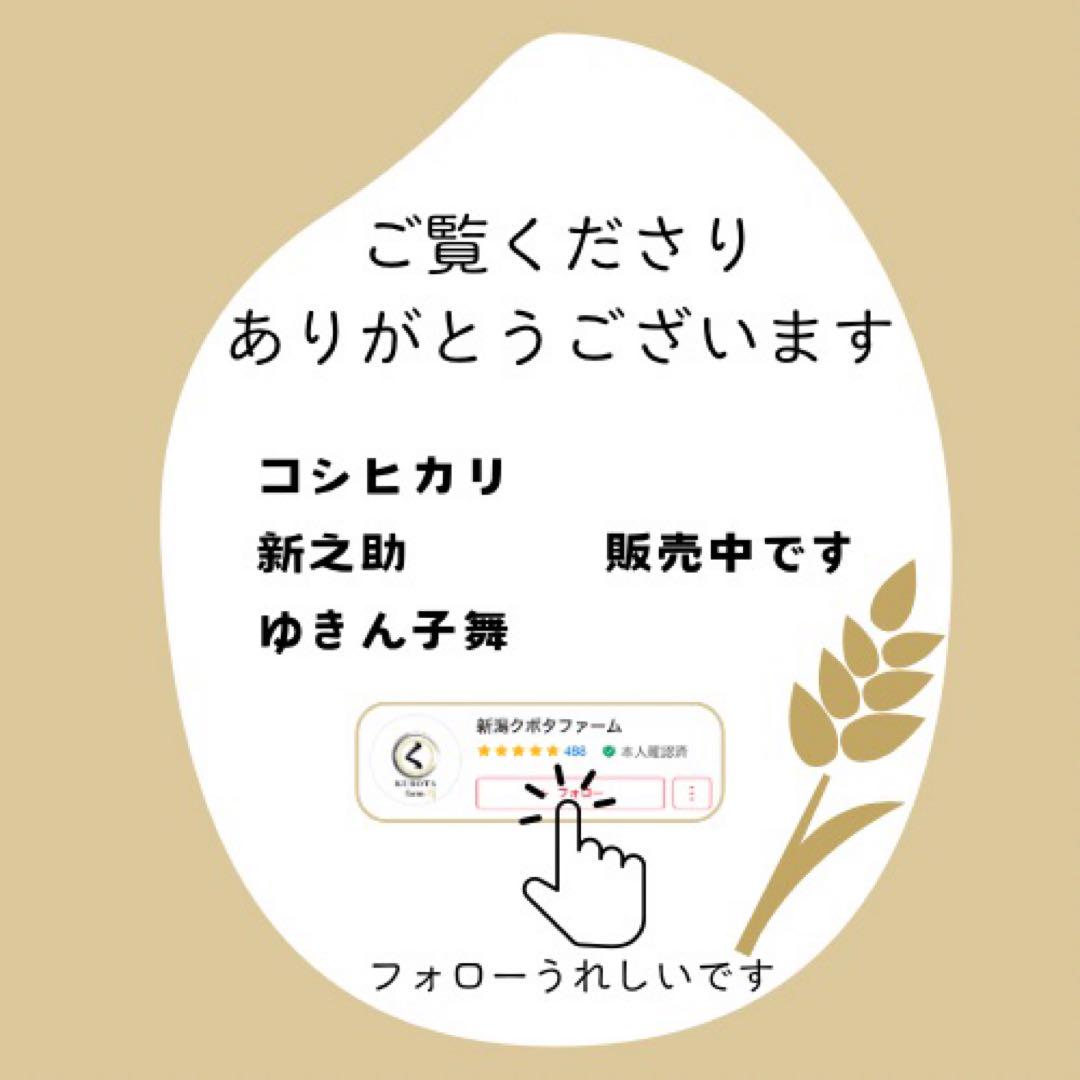 新米】令和6年度産 新潟県産ゆきん子舞 20kg - 米・雑穀・粉類新