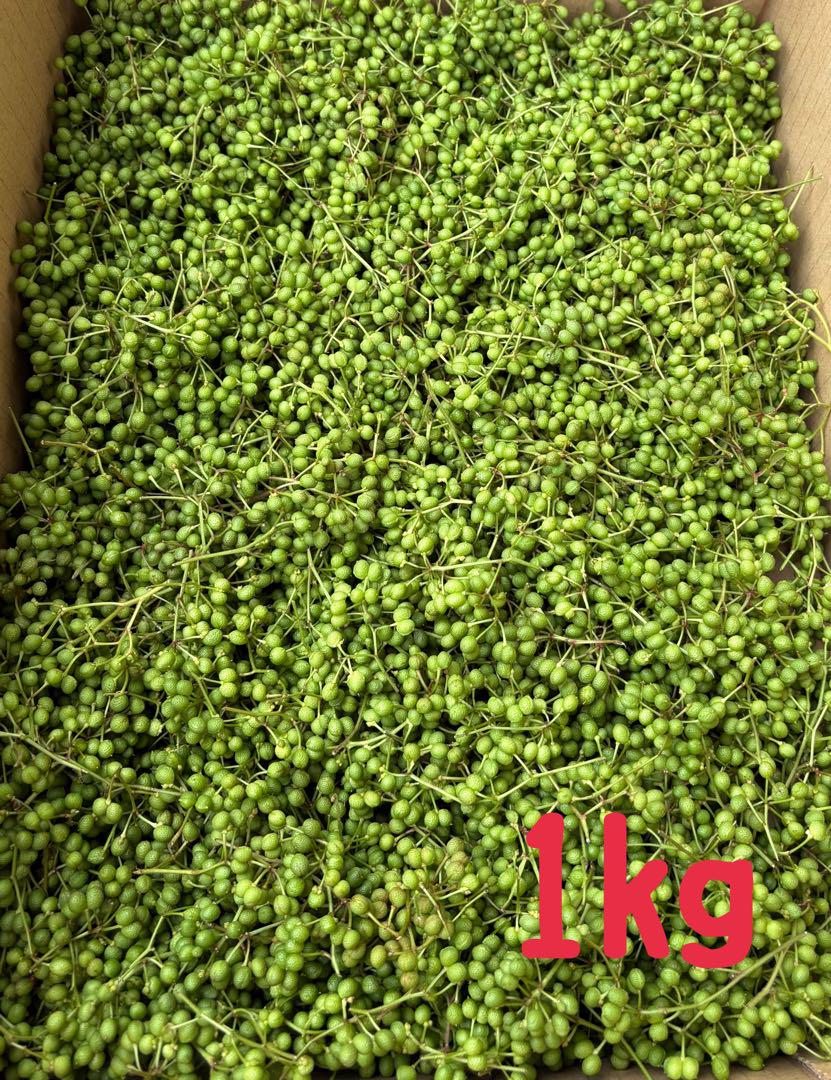 無農薬 山椒の実 1kg 以上　兵庫県産②