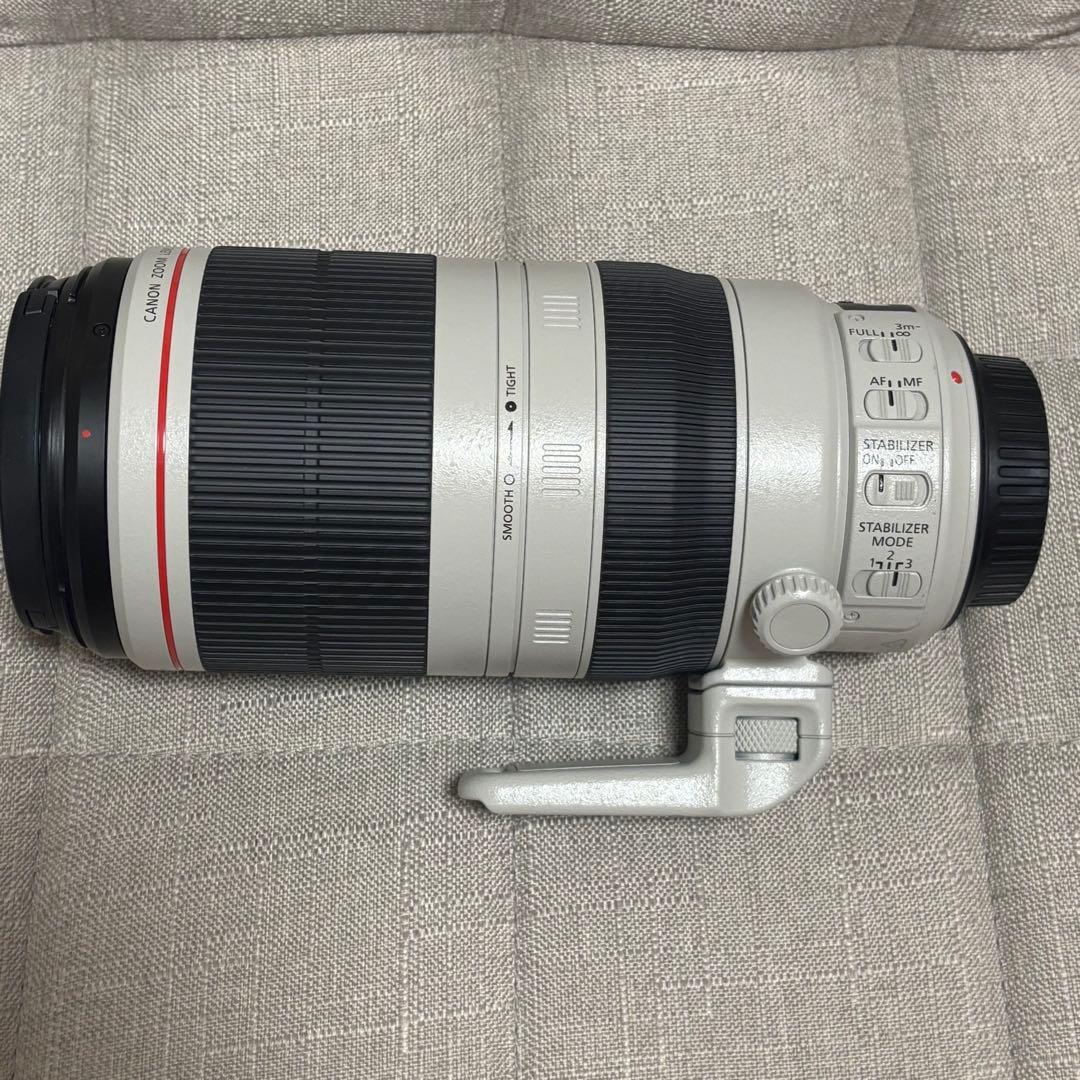 Canon EF100-400mm F4.5-5.6L IS Ⅱ USM