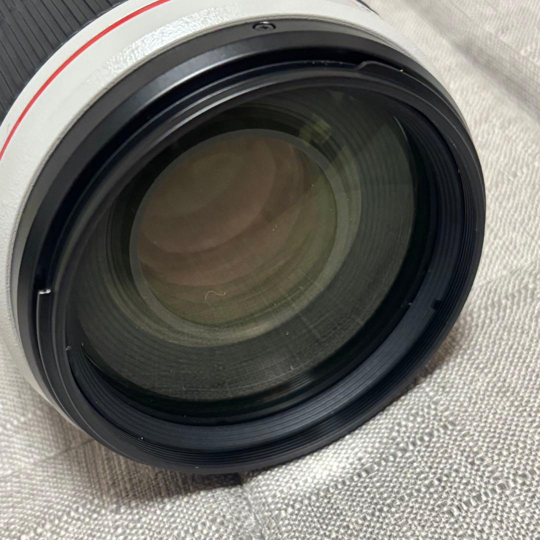 Canon EF100-400mm F4.5-5.6L IS Ⅱ USM