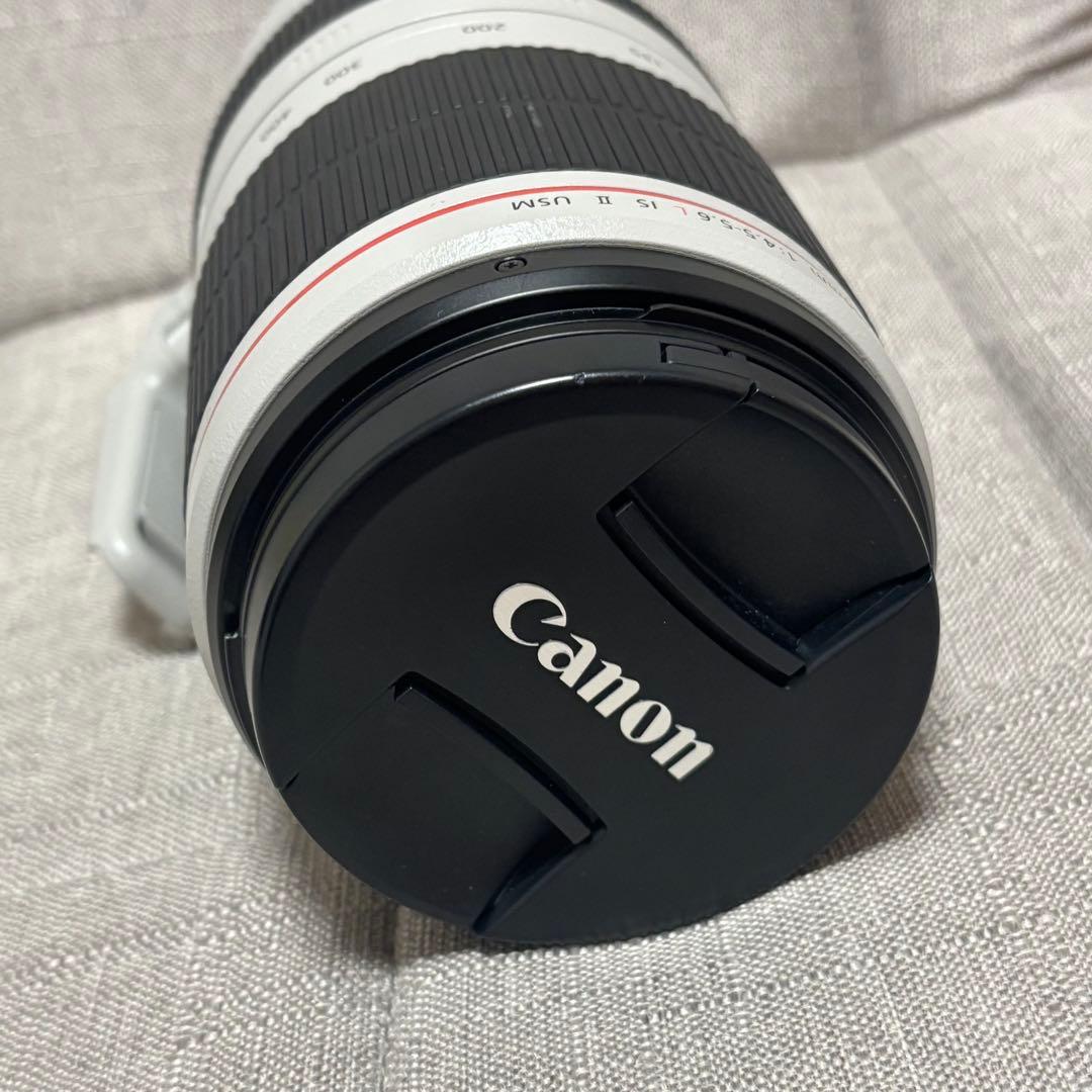 Canon EF100-400mm F4.5-5.6L IS Ⅱ USM