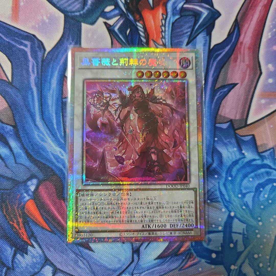 黒薔薇と荊棘の魔女　黒薔薇の破滅竜　プリズマ　各１枚　セット　遊戯王 遊戯王 黒薔薇の破滅竜 黒薔薇と荊棘の魔女 プリシク 各1枚 DOOD