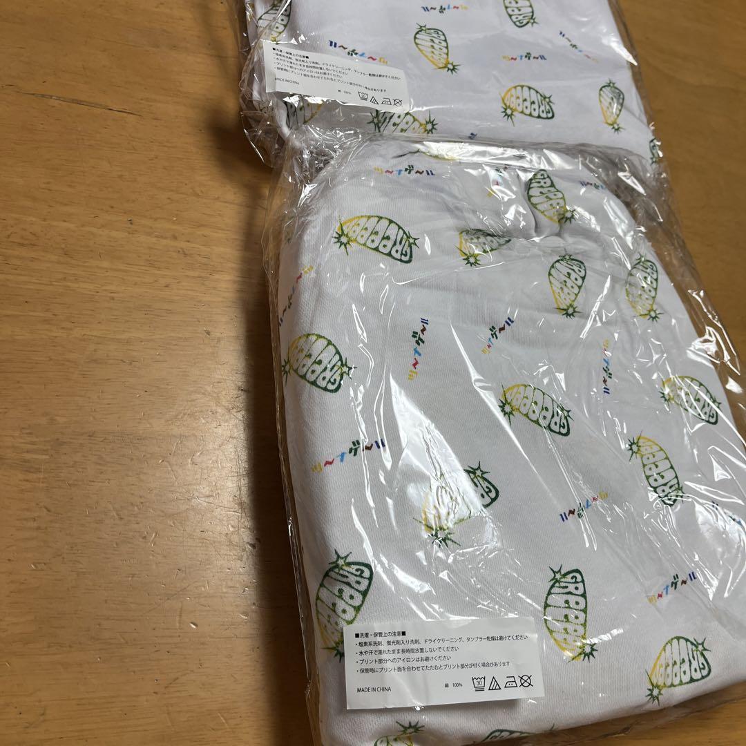 GReeeeN 2021年ライブ VIP席限定プレゼント品 ペア - メルカリ