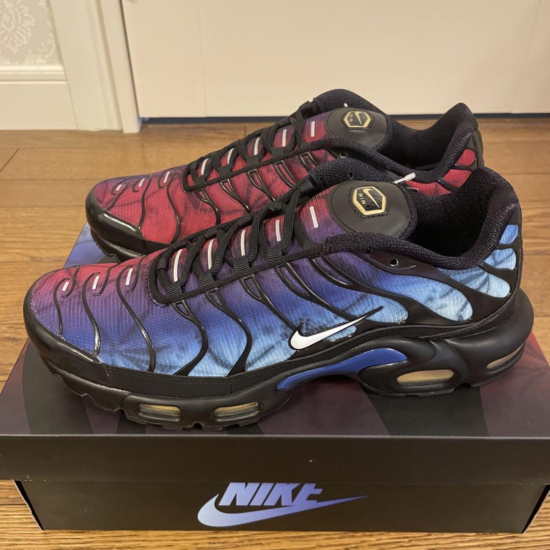 靴 Nike Air Max Plus \"25th Anniversary\"28cm