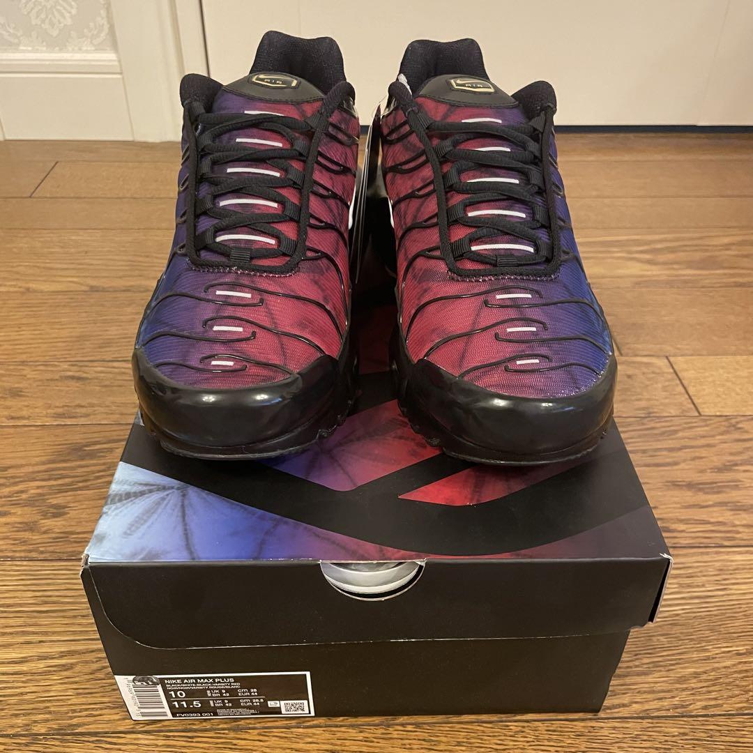 靴 Nike Air Max Plus \"25th Anniversary\"28cm
