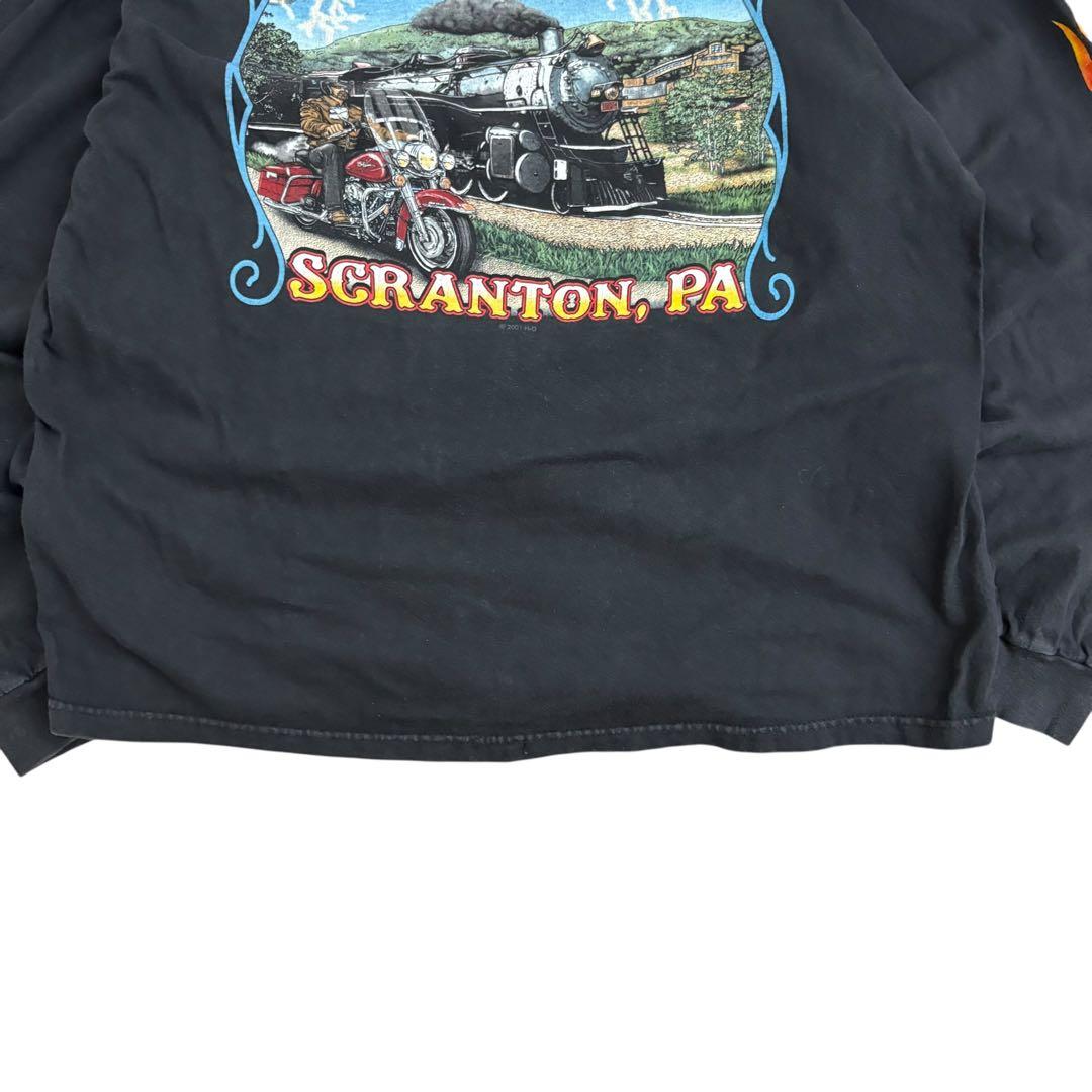 Harley-DavidsonエンジンファイヤーロンTブラックy2kUSA製炎