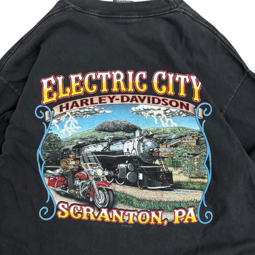 Harley-DavidsonエンジンファイヤーロンTブラックy2kUSA製炎