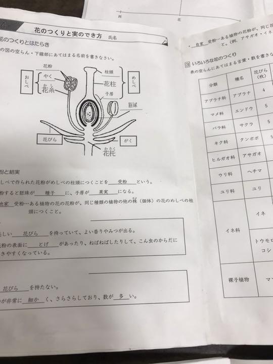 馬渕教室 中学受験コース 5年生 理科 テキストのプリント