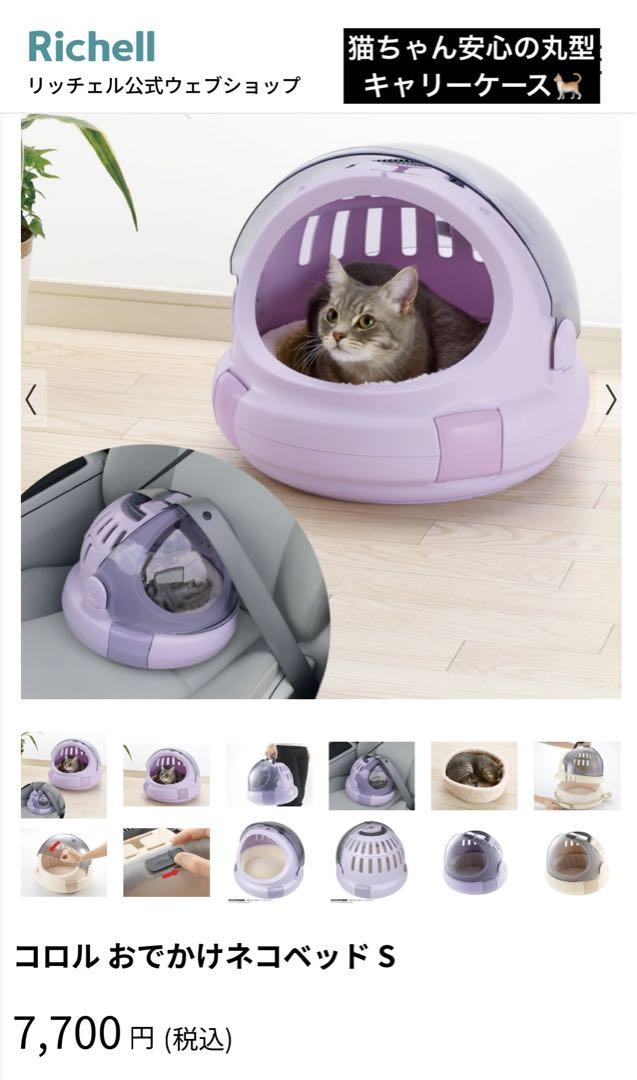 猫ちゃんセット　新品　　1点