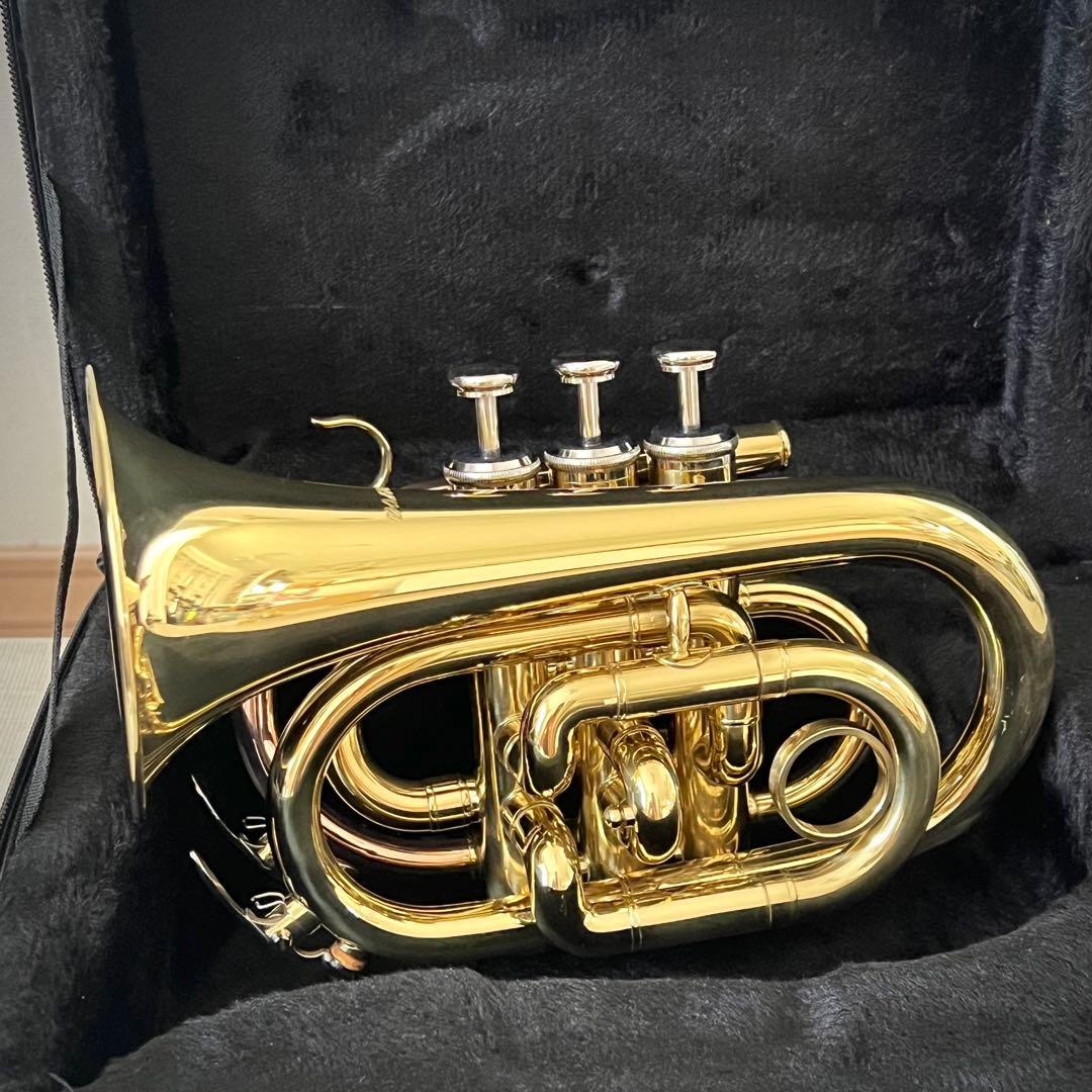 管楽器・吹奏楽器 11.minerva mpt250l 管楽器・吹奏楽器 11.minerva mpt250l 11.minerva mpt250l