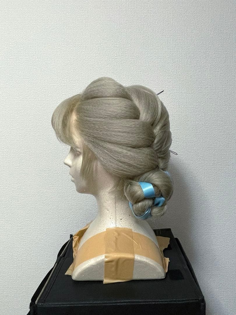 エルサ 戴冠式 ウィッグ ディズニー コスプレ 仮装 WWW_IBETON_RU