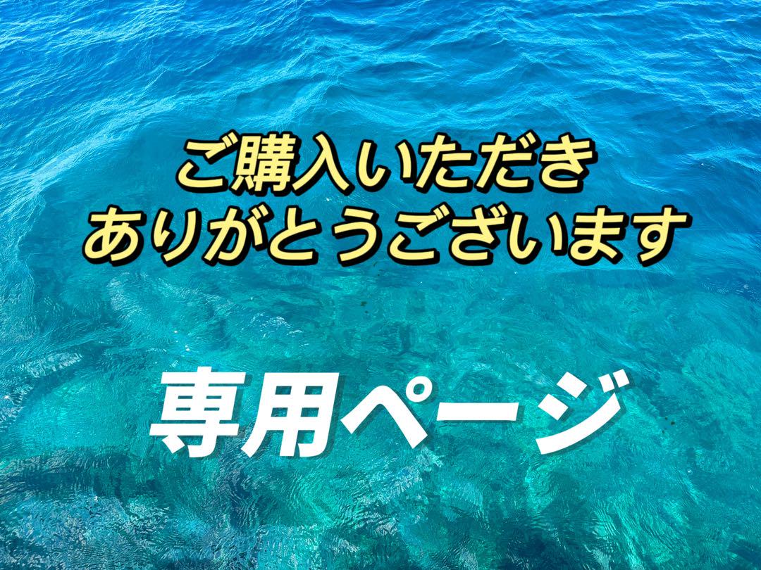 ぽつん様専用ページ