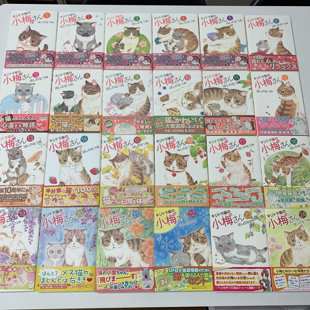 キジトラ猫の小梅さん １～２６巻セット キジトラ猫の小梅さん（1） (ねこぱんちコミックス) | ほしの