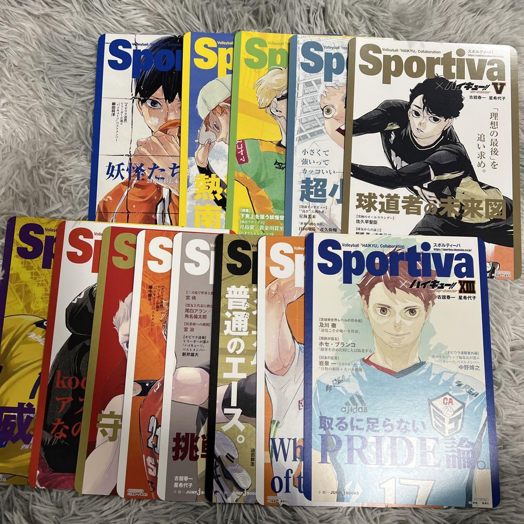 ハイキュー!!ショーセツバン Sportiva アニメイト ビジュアルボード Amazon.co.jp: 5巻 小説 ハイキュー ショーセツバン ビジュアル