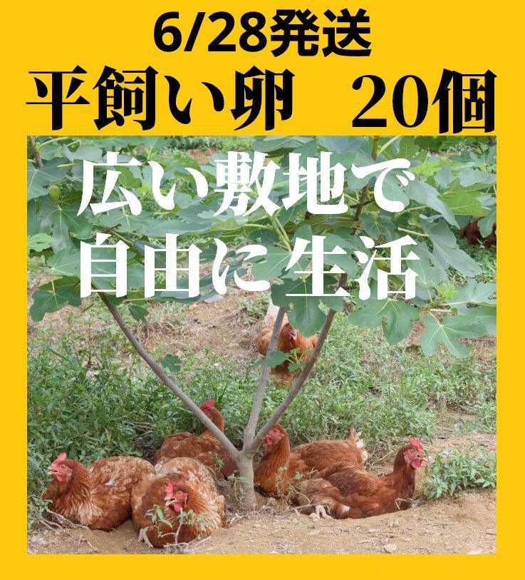 送料無料 ギフト 平飼い卵20個6/28常温発送 メルカリ - その他